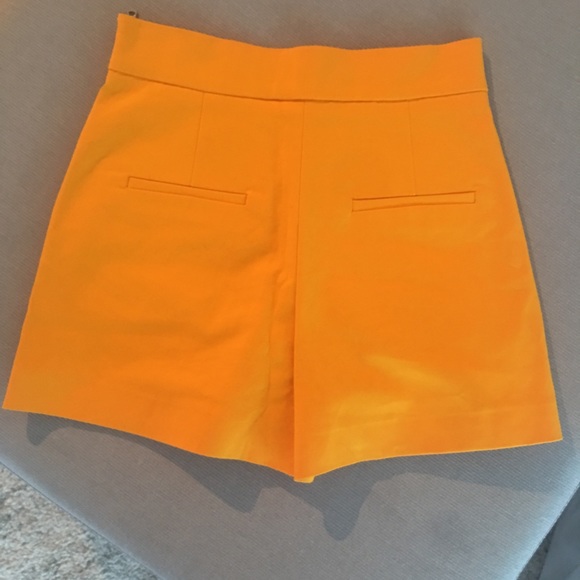 Classy shorts - Picture 2 of 2